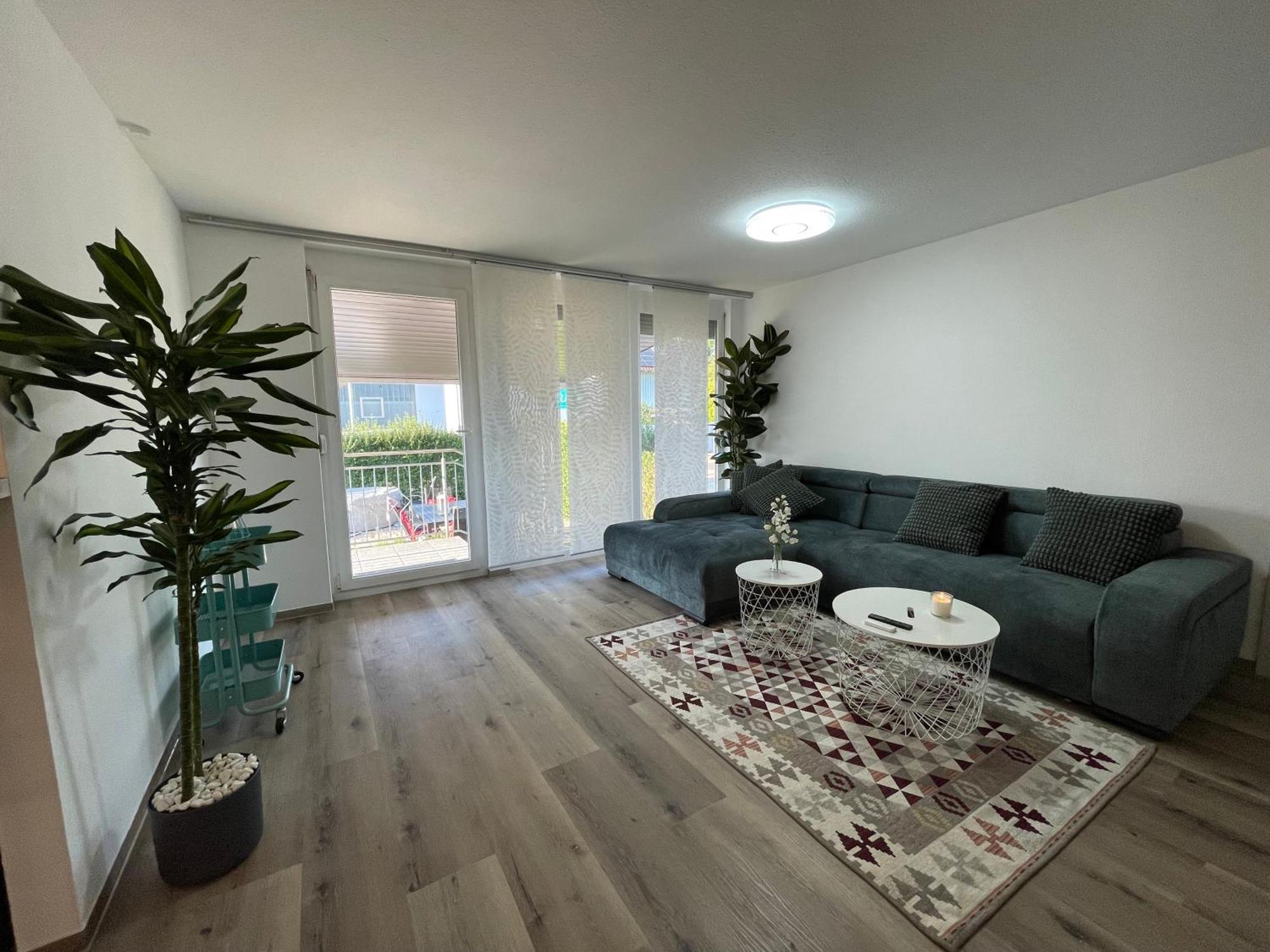 Deluxe Family Appartements Haem Фрайбург-у-Брайсгау Екстер'єр фото